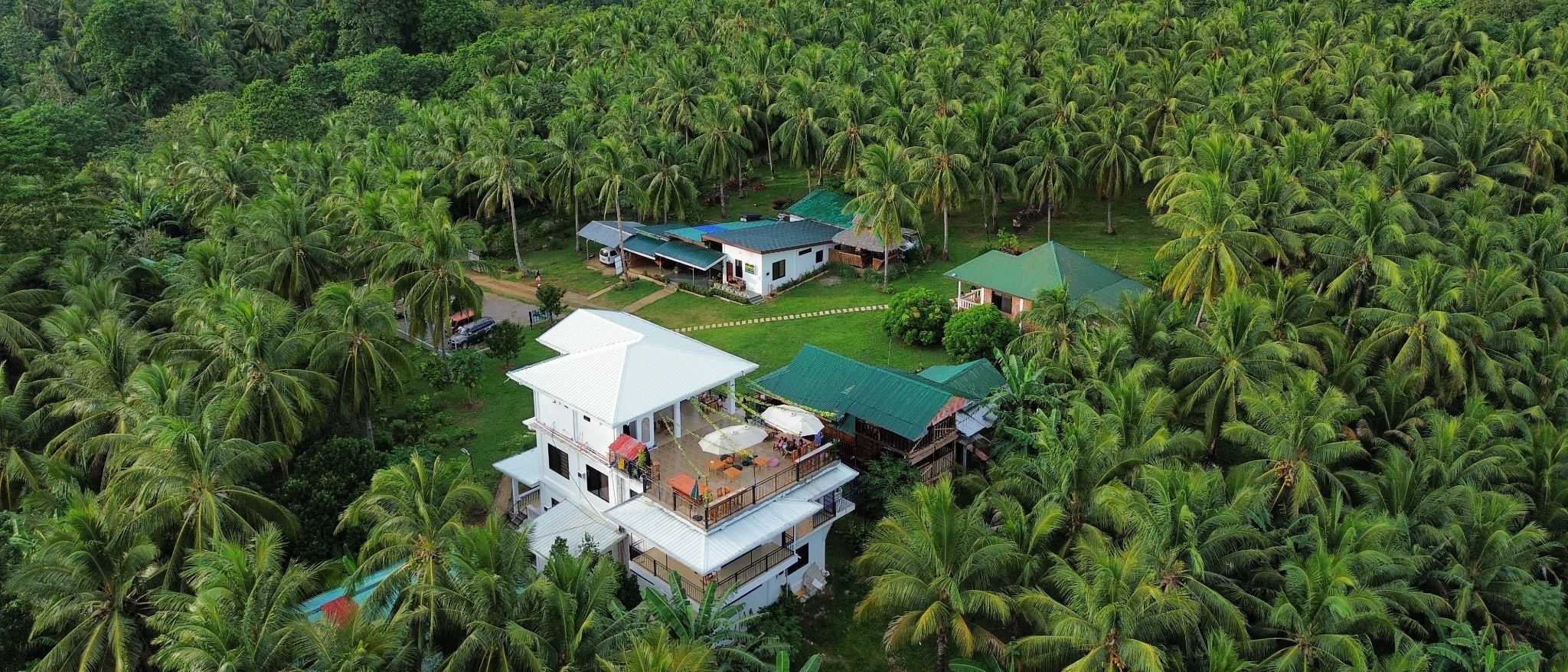 The resort seen from above, its green roofs surrounded on every side by coconut palms