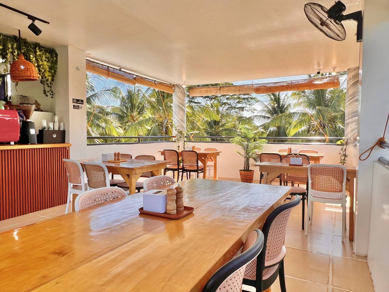 Long timber table inside the cafe with the espresso machine and palms filling the windows