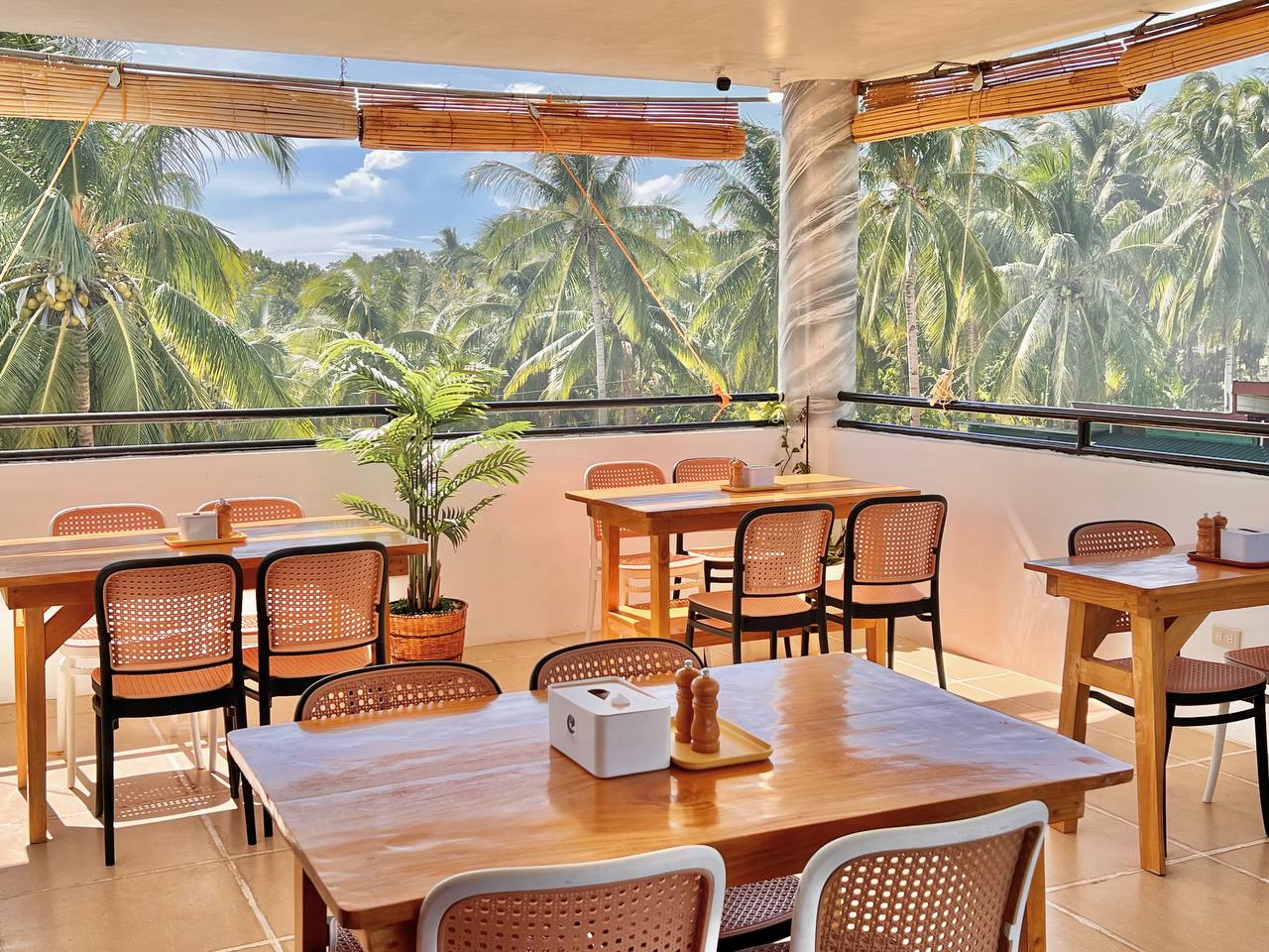 Timber tables and cane chairs on the open terrace, coconut palms filling the view on three sides