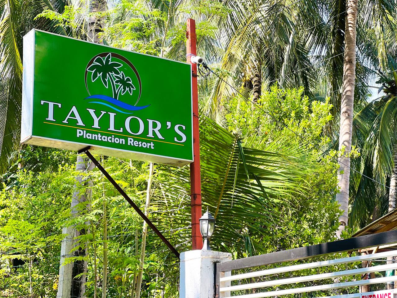 The entrance gate at Taylor's Plantacion Resort with the green sign above it and coconut palms on both sides of the road